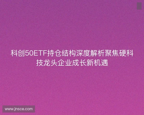 科创50ETF持仓结构深度解析聚焦硬科技龙头企业成长新机遇 科创50ETF持仓结构深度解析聚焦硬科技龙头企业成长新机遇