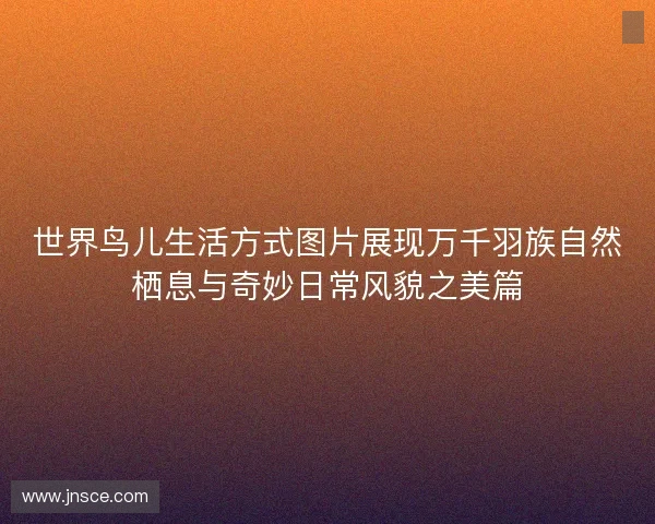 世界鸟儿生活方式图片展现万千羽族自然栖息与奇妙日常风貌之美篇